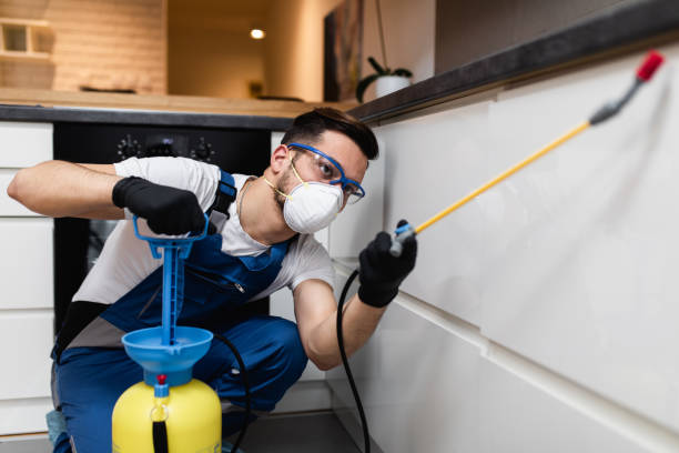 Professional Pest Control in West Dundee, IL