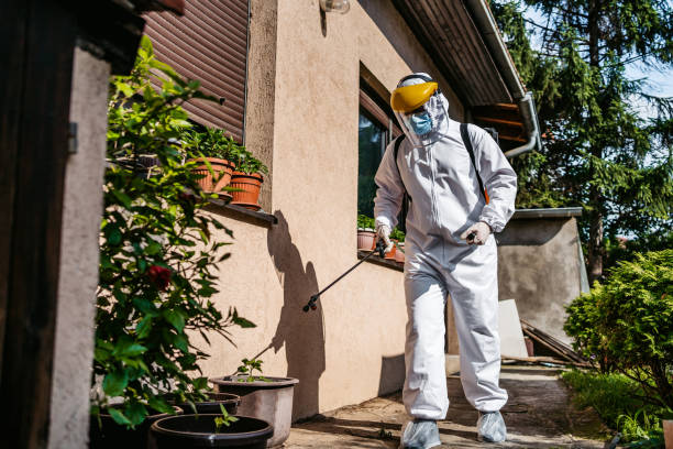 Best Flea Control Services  in West Dundee, IL