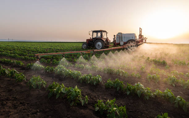 Best Mosquito Control Services  in West Dundee, IL