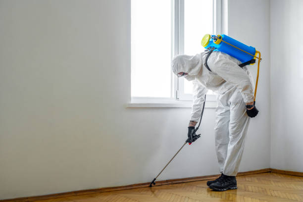 Wasp Removal Services in West Dundee, IL