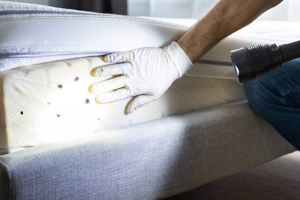 Best Pest Inspection Near Me  in West Dundee, IL