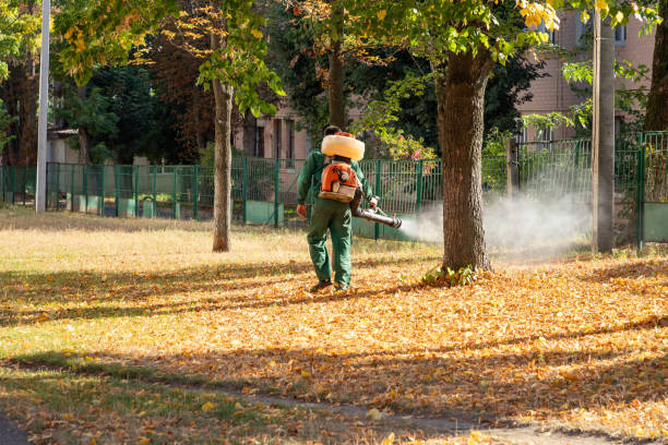 Best Commercial Pest Control Services  in West Dundee, IL